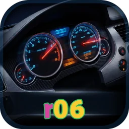 r06